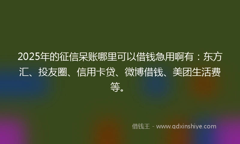 2025年的征信呆账哪里可以借钱急用啊有：东方汇、投友圈、信用卡贷、微博借钱、美团生活费等。