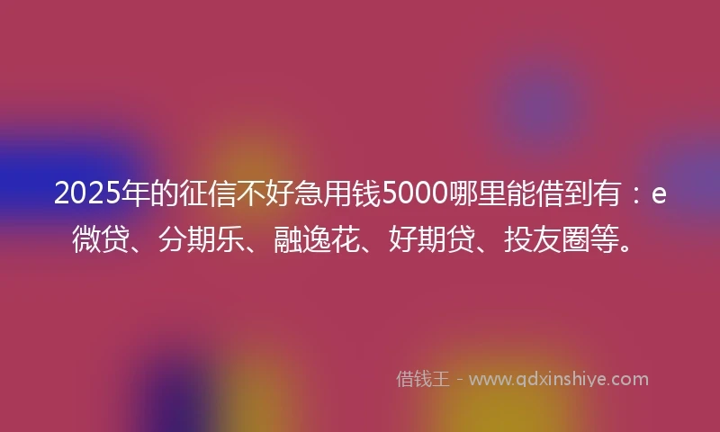 2025年的征信不好急用钱5000哪里能借到有：e微贷、分期乐、融逸花、好期贷、投友圈等。