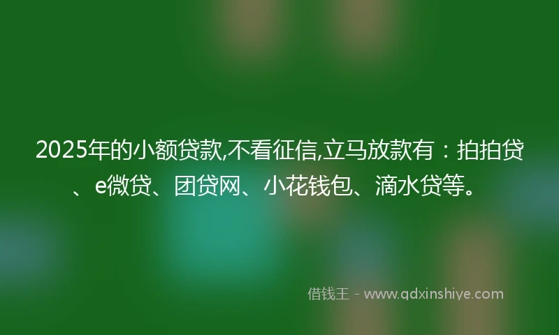 2025年的小额贷款,不看征信,立马放款有：拍拍贷、e微贷、团贷网、小花钱包、滴水贷等。