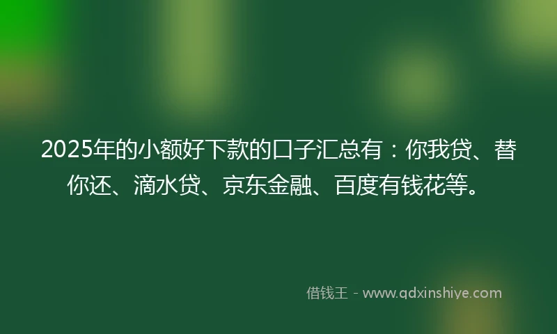 2025年的小额好下款的口子汇总有：你我贷、替你还、滴水贷、京东金融、百度有钱花等。