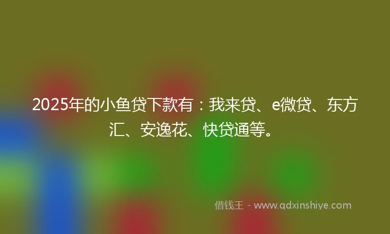 2025年的小鱼贷下款有：我来贷、e微贷、东方汇、安逸花、快贷通等。
