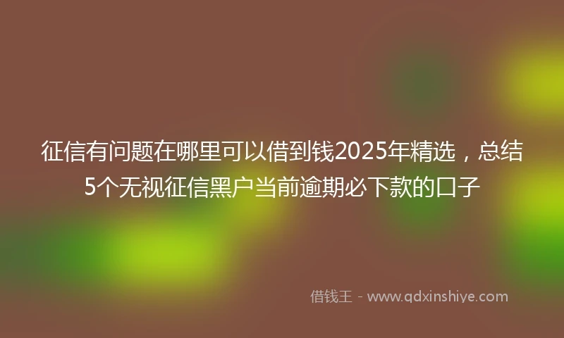 征信有问题在哪里可以借到钱2025年精选，总结5个无视征信黑户当前逾期必下款的口子