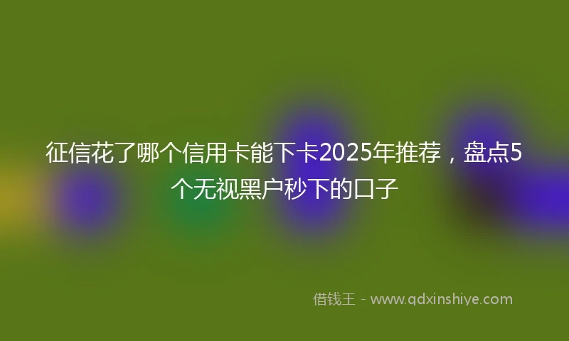 征信花了哪个信用卡能下卡2025年推荐，盘点5个无视黑户秒下的口子