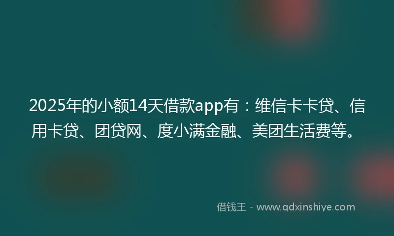 2025年的小额14天借款app有：维信卡卡贷、信用卡贷、团贷网、度小满金融、美团生活费等。