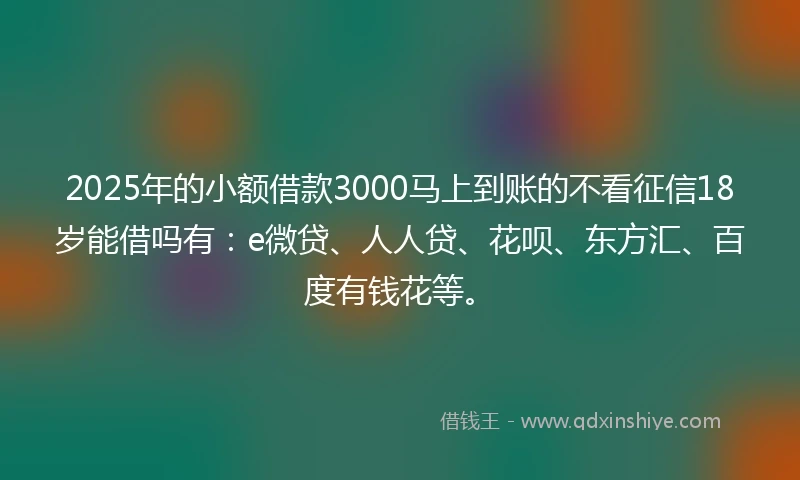 2025年的小额借款3000马上到账的不看征信18岁能借吗有：e微贷、人人贷、花呗、东方汇、百度有钱花等。