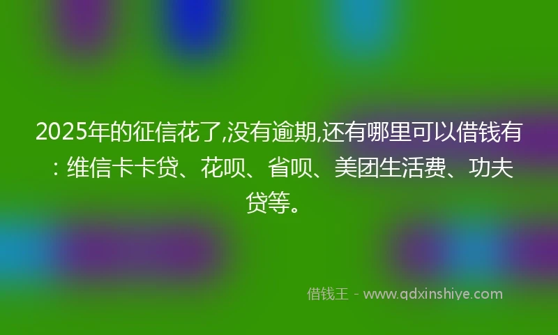 2025年的征信花了,没有逾期,还有哪里可以借钱有：维信卡卡贷、花呗、省呗、美团生活费、功夫贷等。