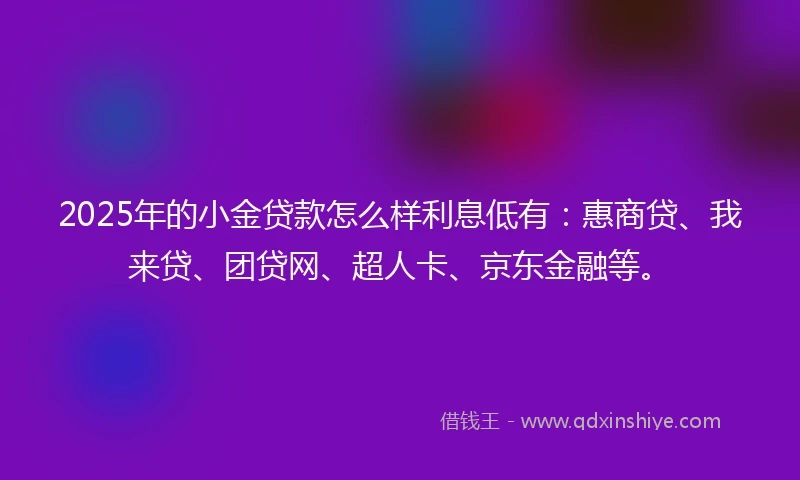 2025年的小金贷款怎么样利息低有：惠商贷、我来贷、团贷网、超人卡、京东金融等。