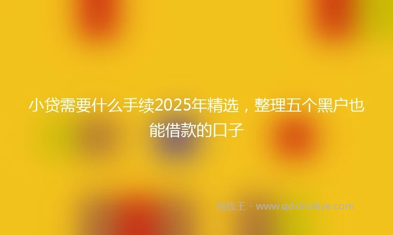 小贷需要什么手续2025年精选，整理五个黑户也能借款的口子