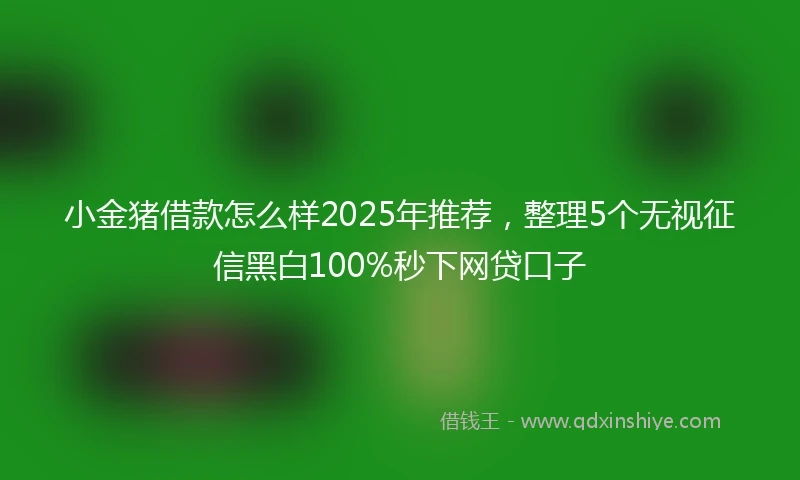 小金猪借款怎么样2025年推荐，整理5个无视征信黑白100%秒下网贷口子