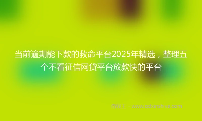 当前逾期能下款的救命平台2025年精选,整理五个不看征信网贷平台放款快的平台
