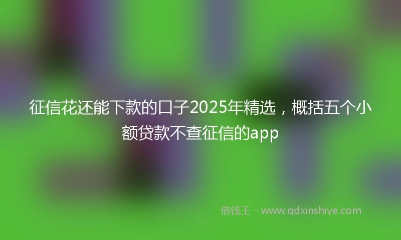 征信花还能下款的口子2025年精选，概括五个小额贷款不查征信的app