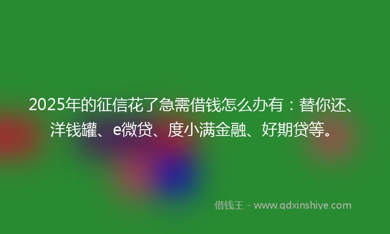2025年的征信花了急需借钱怎么办有:替你还、洋钱罐、e微贷、度小满金融、好期贷等。