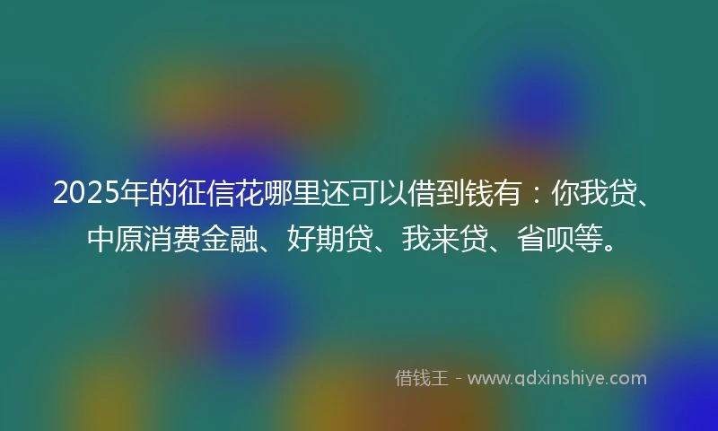 2025年的征信花哪里还可以借到钱有：你我贷、中原消费金融、好期贷、我来贷、省呗等。