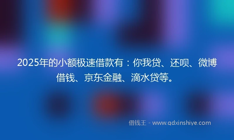 2025年的小额极速借款有：你我贷、还呗、微博借钱、京东金融、滴水贷等。