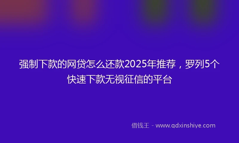 强制下款的网贷怎么还款2025年推荐，罗列5个快速下款无视征信的平台