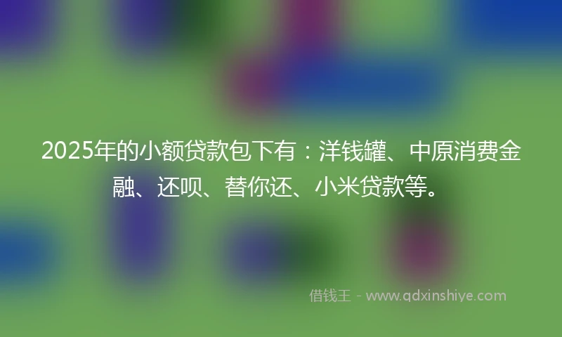 2025年的小额贷款包下有：洋钱罐、中原消费金融、还呗、替你还、小米贷款等。