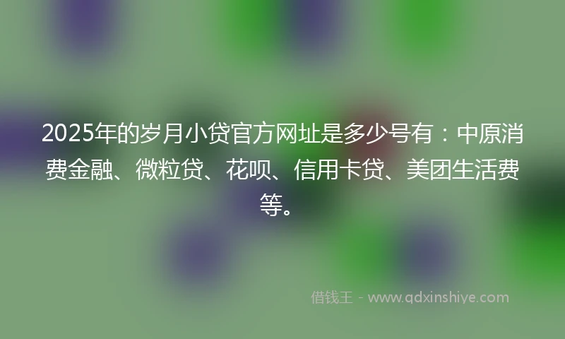 2025年的岁月小贷官方网址是多少号有：中原消费金融、微粒贷、花呗、信用卡贷、美团生活费等。
