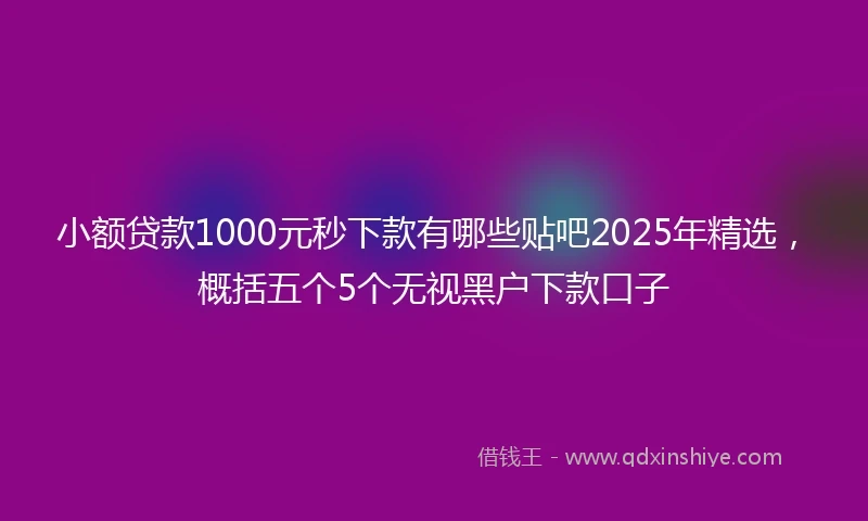 小额贷款1000元秒下款有哪些贴吧2025年精选，概括五个5个无视黑户下款口子