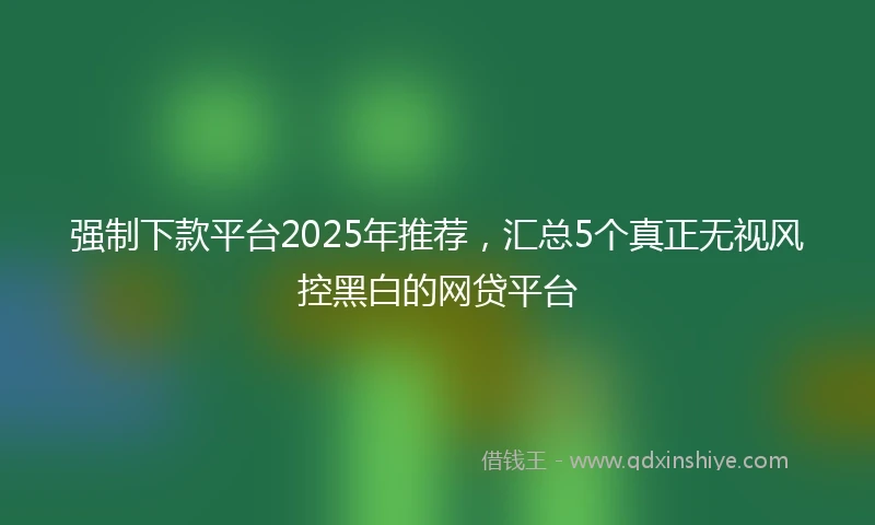 强制下款平台2025年推荐，汇总5个真正无视风控黑白的网贷平台