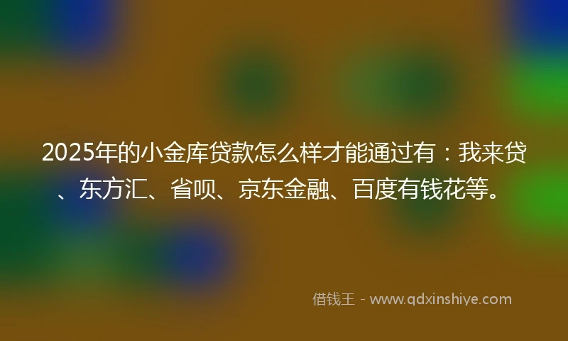 2025年的小金库贷款怎么样才能通过有：我来贷、东方汇、省呗、京东金融、百度有钱花等。