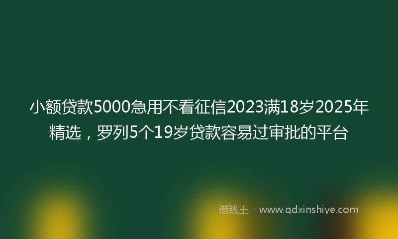 小额贷款5000急用不看征信2023满18岁2025年精选，罗列5个19岁贷款容易过审批的平台