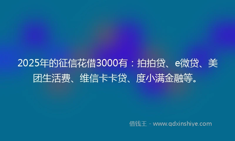 2025年的征信花借3000有：拍拍贷、e微贷、美团生活费、维信卡卡贷、度小满金融等。