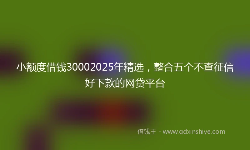 小额度借钱30002025年精选，整合五个不查征信好下款的网贷平台