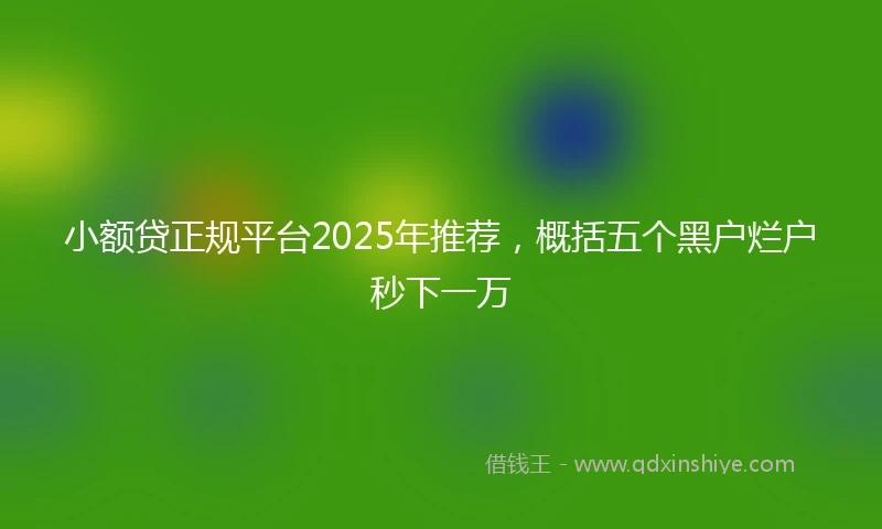 小额贷正规平台2025年推荐，概括五个黑户烂户秒下一万