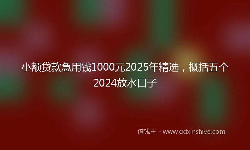 小额贷款急用钱1000元2025年精选，概括五个2024放水口子
