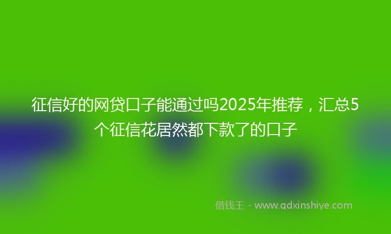 征信好的网贷口子能通过吗2025年推荐，汇总5个征信花居然都下款了的口子