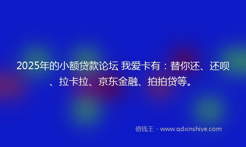 2025年的小额贷款论坛 我爱卡有：替你还、还呗、拉卡拉、京东金融、拍拍贷等。
