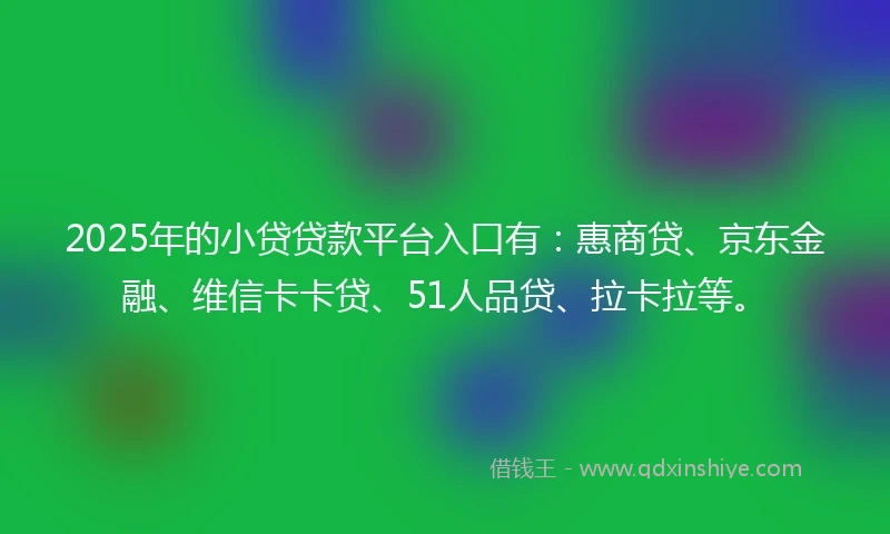 2025年的小贷贷款平台入口有：惠商贷、京东金融、维信卡卡贷、51人品贷、拉卡拉等。