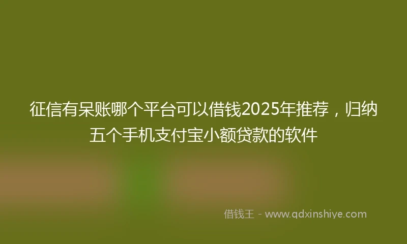 征信有呆账哪个平台可以借钱2025年推荐，归纳五个手机支付宝小额贷款的软件