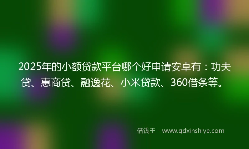 2025年的小额贷款平台哪个好申请安卓有：功夫贷、惠商贷、融逸花、小米贷款、360借条等。