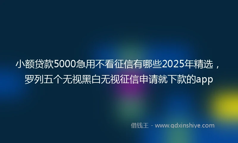 小额贷款5000急用不看征信有哪些2025年精选，罗列五个无视黑白无视征信申请就下款的app