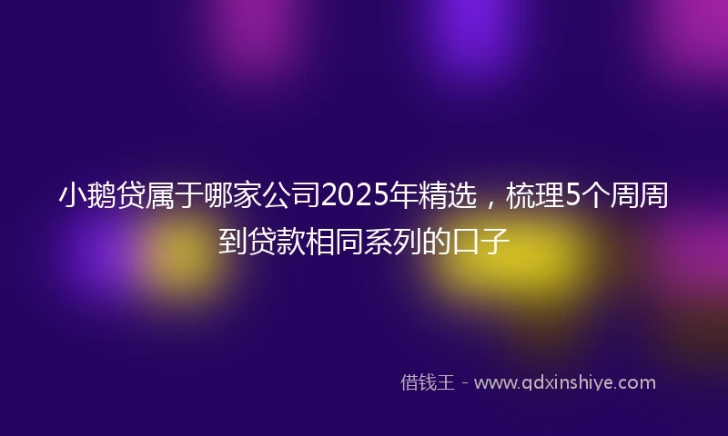 小鹅贷属于哪家公司2025年精选，梳理5个周周到贷款相同系列的口子