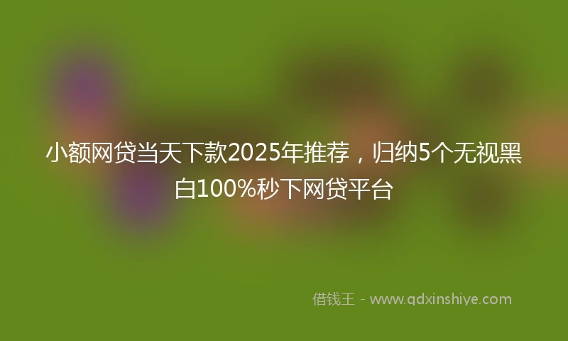 小额网贷当天下款2025年推荐，归纳5个无视黑白100%秒下网贷平台
