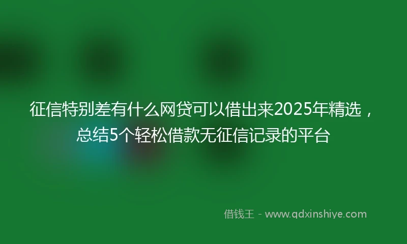 征信特别差有什么网贷可以借出来2025年精选，总结5个轻松借款无征信记录的平台