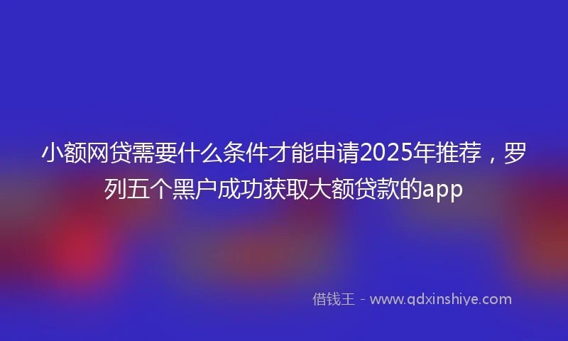 小额网贷需要什么条件才能申请2025年推荐，罗列五个黑户成功获取大额贷款的app