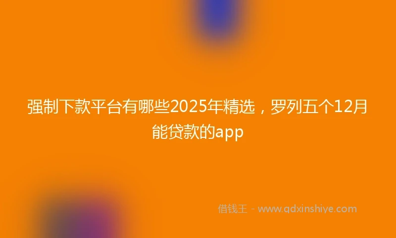 强制下款平台有哪些2025年精选，罗列五个12月能贷款的app