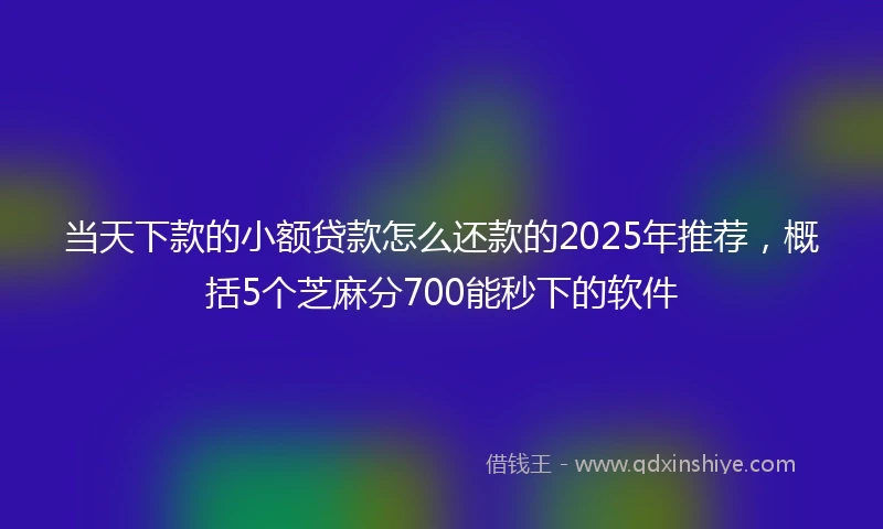 当天下款的小额贷款怎么还款的2025年推荐，概括5个芝麻分700能秒下的软件