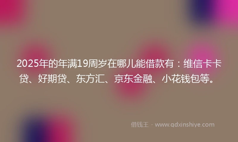 2025年的年满19周岁在哪儿能借款有：维信卡卡贷、好期贷、东方汇、京东金融、小花钱包等。