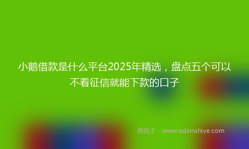 小鹅借款是什么平台2025年精选，盘点五个可以不看征信就能下款的口子