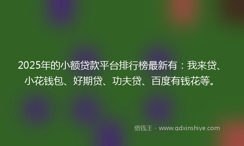 2025年的小额贷款平台排行榜最新有：我来贷、小花钱包、好期贷、功夫贷、百度有钱花等。