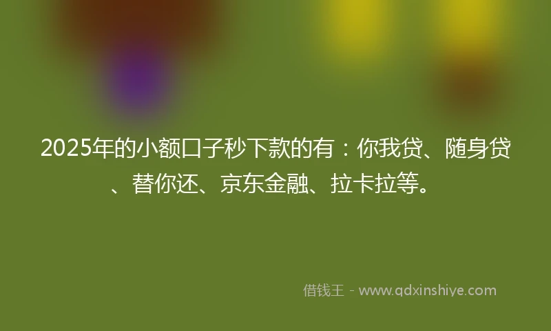 2025年的小额口子秒下款的有：你我贷、随身贷、替你还、京东金融、拉卡拉等。