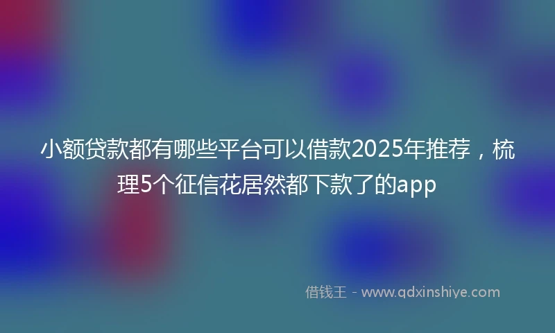 小额贷款都有哪些平台可以借款2025年推荐，梳理5个征信花居然都下款了的app