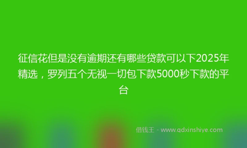 征信花但是没有逾期还有哪些贷款可以下2025年精选，罗列五个无视一切包下款5000秒下款的平台