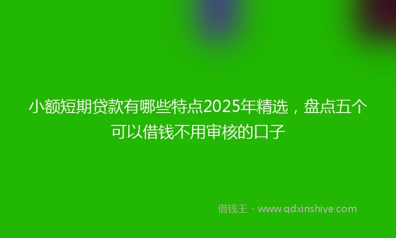 小额短期贷款有哪些特点2025年精选，盘点五个可以借钱不用审核的口子