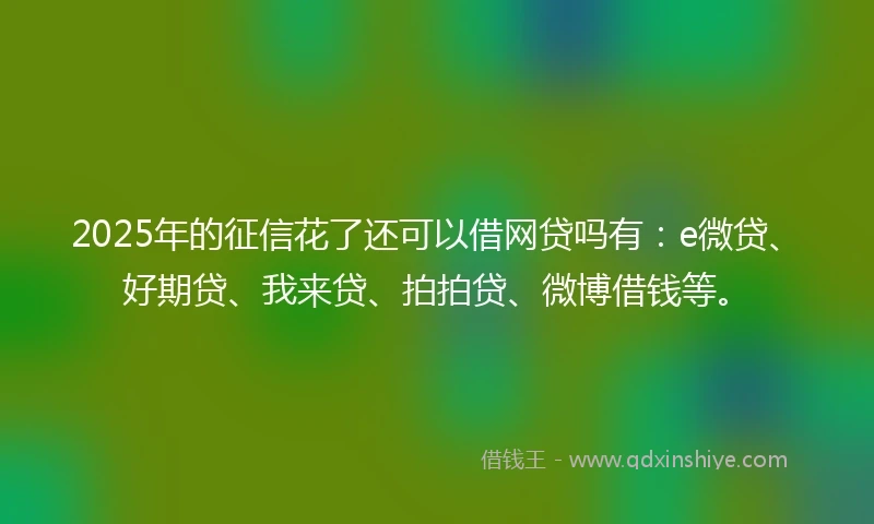 2025年的征信花了还可以借网贷吗有：e微贷、好期贷、我来贷、拍拍贷、微博借钱等。