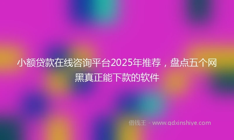 小额贷款在线咨询平台2025年推荐，盘点五个网黑真正能下款的软件